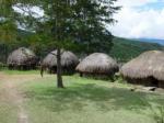 rumah-honai.jpg