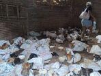 rumah-penyekapan-anjing-36.jpg