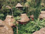 rumah-pohon-di-republik-dominika-kamis-3042020.jpg