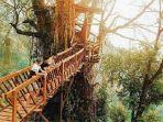 rumah-pohon-jembatan-kayu-gantung-curug-ciherang-jonggol.jpg