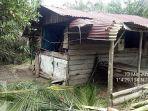 rumah-serta-tanaman-warga-yang-dirusak-kawanan-gajah-liar.jpg