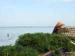 rumput-laut-kontan.jpg