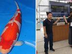 s-legend-ikan-hidup-termahal-di-dunia.jpg