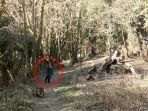 saat-mengambil-foto-anaknya-di-hutan-ibu-ini-menyadari-ada-sesuatu-yang-mengerikan_20180523_211643.jpg