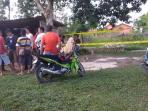 sabung-ayam_20150531_014405.jpg