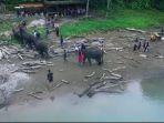 salah-satu-karya-dari-enam-video-terbaik-raih-penghargaan-ajv-2020.jpg