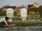 salah-satu-produk-inovasi-efishery-efisheryfeeder.jpg
