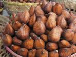 salak-pondoh_20151228_115857.jpg