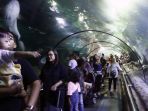 sambut-hut-kemerdekaan-ri-ke-78-sea-world-ancol-rame-pengunjung_20230818_230051.jpg