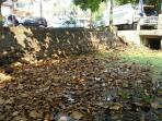 sampah-banjarmasin_20151119_163638.jpg