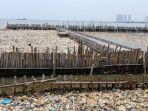 sampah-di-muara-angke_20180317_005330.jpg