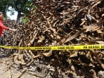 sampah-kulit-kabel_20160303_222156.jpg