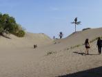 sandboarding_20150827_183552.jpg