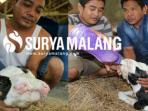 sapi-aneh_20160421_155035.jpg