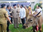 sapi-jokowi_20170829_143539.jpg
