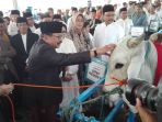 sapi-jokowi_20170901_085612.jpg