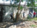 sapi-kabur_20150924_145749.jpg