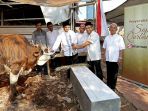 sapi-kurbanjpg_20180820_131526.jpg