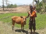 sapi-mungil_20170918_120650.jpg
