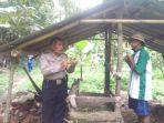 sapi-warga-di-banjar-bedauh-hilang.jpg