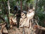 satgas-yonif-642kapuas-amankan-kayu-hasil-illegal-logging_20210321_204813.jpg