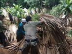 satpol-pp-bongkar-gubuk-tempat-mesum_20170912_132025.jpg