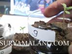 satu-diantara-sembilan-bibit-tanaman-ganja-yang-ditanam-rhu_20150526_045435.jpg