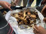 satu-set-tulang-belulang-harimau-sumatera-berjumlah-80-tulang-yang-disimpan.jpg