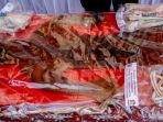 satwa-liar-aceh-4.jpg