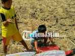 sawah-kekeringan_20180907_125648.jpg