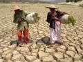 sawah-kering.jpg