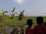 sawah-terendam-air_20170317_143138.jpg