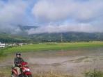 sawah-terendam_20160407_204334.jpg