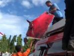 sayap-majene_20150212_103544.jpg