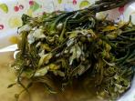 sayur-banjar_20151129_162726.jpg