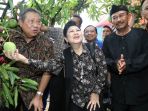 sby-panen-mangga-di-cirebon_20190601_193853.jpg
