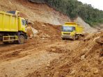 sda-tambah-armada-truk-tata_20190401_000254.jpg