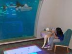 sea-aquarium_20150706_112650.jpg