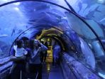 seaworld-ancol_20161208_142553.jpg