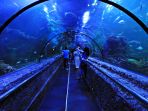 seaworld_20161213_163525.jpg