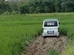 sebuah-video-beredar-menunjukkan-sebuah-minibus-masuk-ke-area-pematang-sawah.jpg