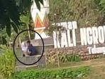 sedang-viral-di-whatsapp-wa-video-mesum-sepasang-re.jpg