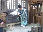 seekor-anjing-diberkati-di-kuil-musashi.jpg