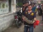 seekor-buaya-berkeliaran_20160210_205842.jpg