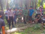 seekor-buaya-diamankan-oleh-warga-gampong-pulo-blang_20180716_133028.jpg
