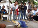 seekor-buaya-ditangkap-oleh-warga-pemali_20160307_114705.jpg