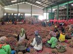 sejumlah-petani-di-brebes-jawa-tengah-saat-ini-sedang-menggelar-panen-bawang-merah.jpg