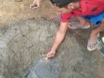 sejumlah-sumur-alam-muncul-secara-misterius-di-areal-lahan-milik-perh_20181009_164158.jpg