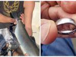 sekelompok-pemancing-temukan-ikan-dengan-cincin-terikat-di-buntutnya.jpg
