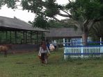 sekolah-ini-setahun-mampu-hasilkan-dua-ton-pupuk-organik_20170224_212607.jpg